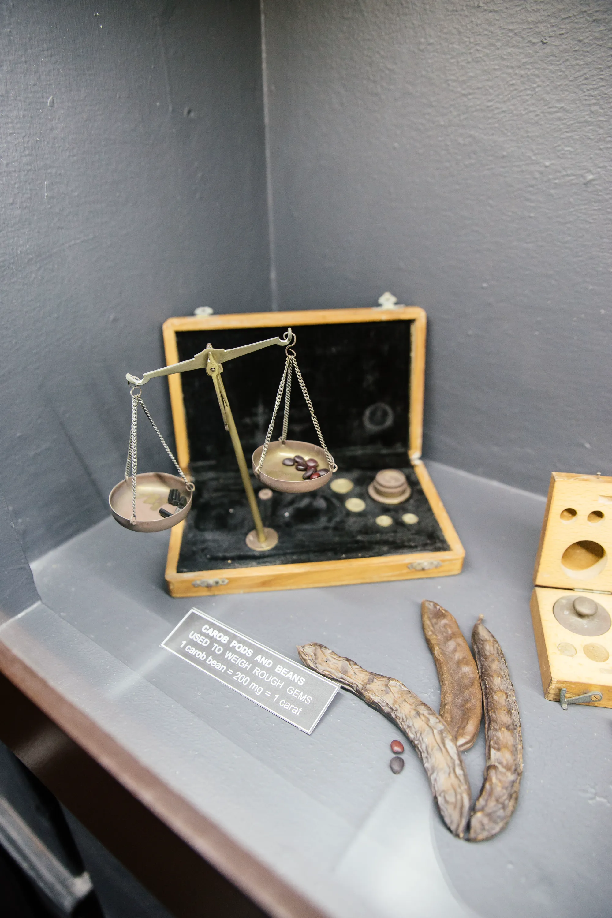 Antique brass jeweller's balance with carob pods and beans in the museum, and a brass calibrated weight set in a wooden case