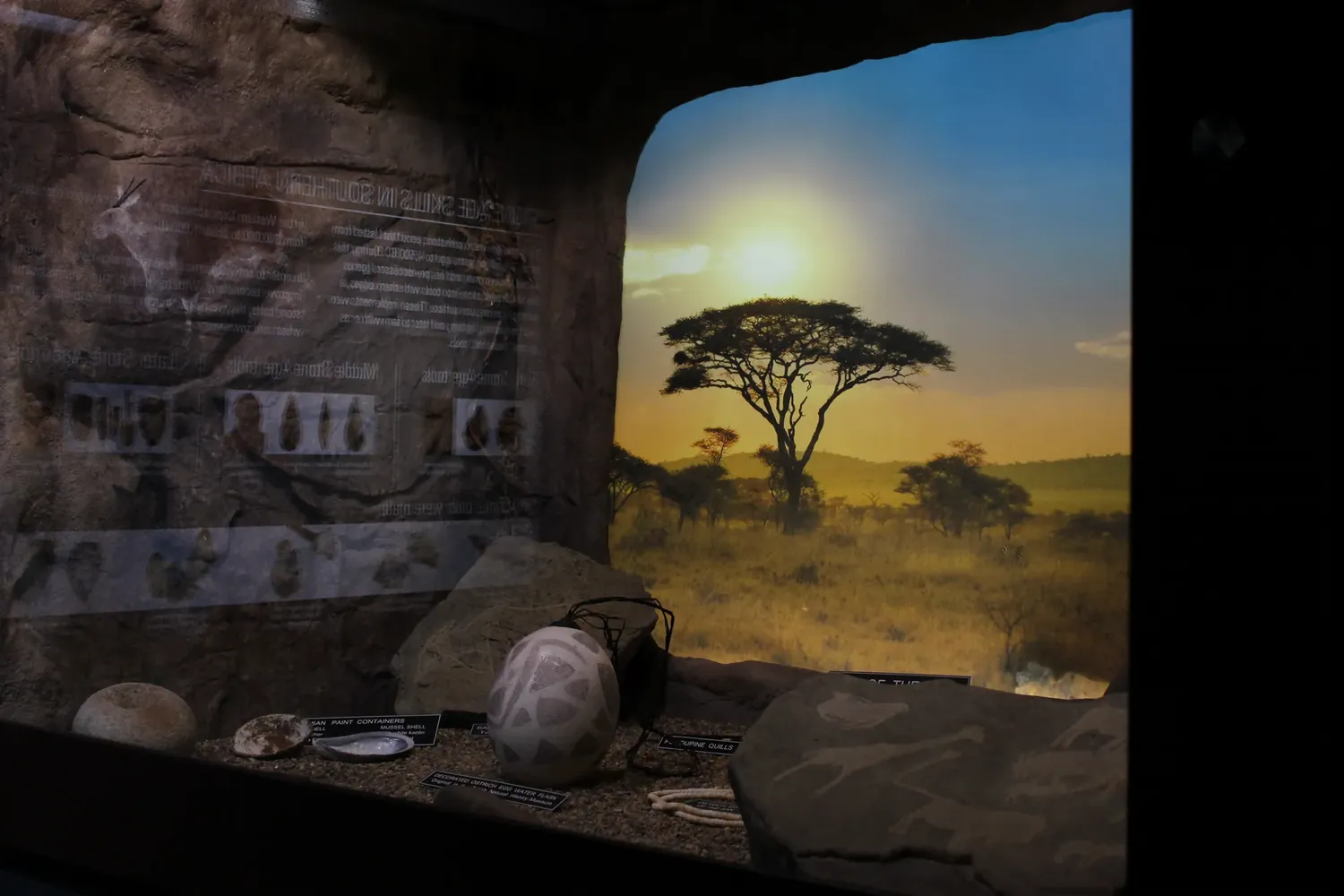 The Cradle of Creativity diorama in the museum: an African savanna scene with acacia silhouette, ostrich-shell flask, San paint containers and stone tools