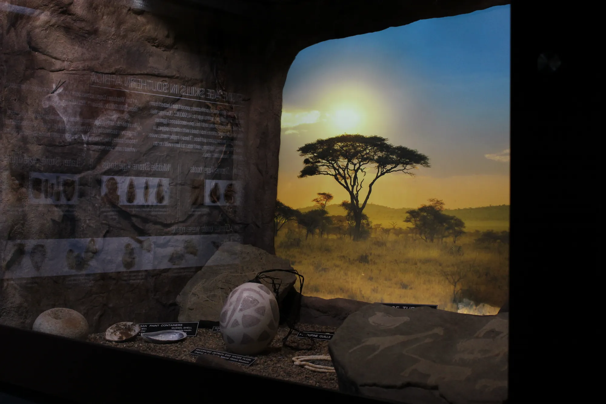 The Cradle of Creativity diorama in the museum: an African savanna scene with acacia silhouette, ostrich-shell flask, San paint containers and stone tools